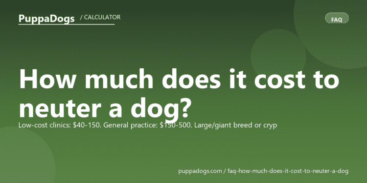 How much does it cost to neuter a dog? - PuppaDogs FAQ