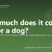 How much does it cost to neuter a dog? - PuppaDogs FAQ