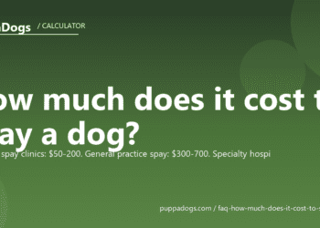 How much does it cost to spay a dog? - PuppaDogs FAQ