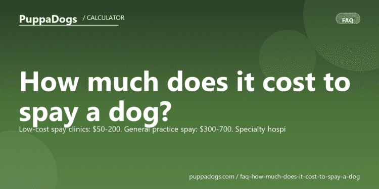 How much does it cost to spay a dog? - PuppaDogs FAQ