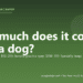 How much does it cost to spay a dog? - PuppaDogs FAQ