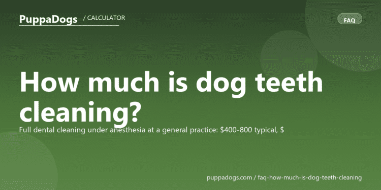 How much is dog teeth cleaning? - PuppaDogs FAQ