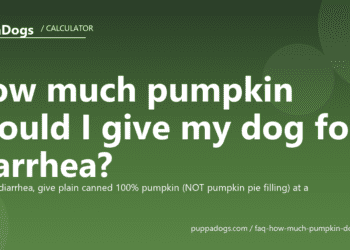 How much pumpkin should I give my dog for diarrhea? - PuppaDogs FAQ