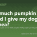 How much pumpkin should I give my dog for diarrhea? - PuppaDogs FAQ