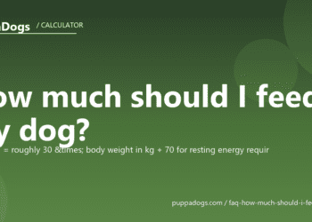How much should I feed my dog? - PuppaDogs FAQ