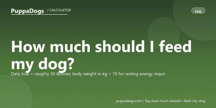 How much should I feed my dog? - PuppaDogs FAQ
