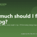 How much should I feed my dog? - PuppaDogs FAQ