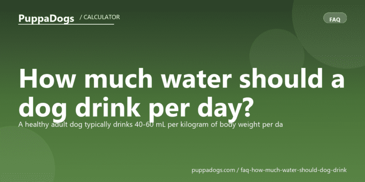 How much water should a dog drink per day? - PuppaDogs FAQ
