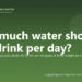 How much water should a dog drink per day? - PuppaDogs FAQ