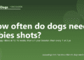How often do dogs need rabies shots? - PuppaDogs FAQ