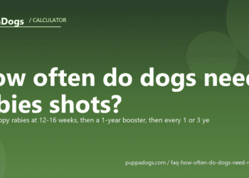 How often do dogs need rabies shots? - PuppaDogs FAQ