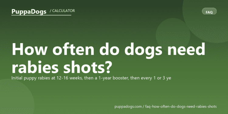 How often do dogs need rabies shots? - PuppaDogs FAQ