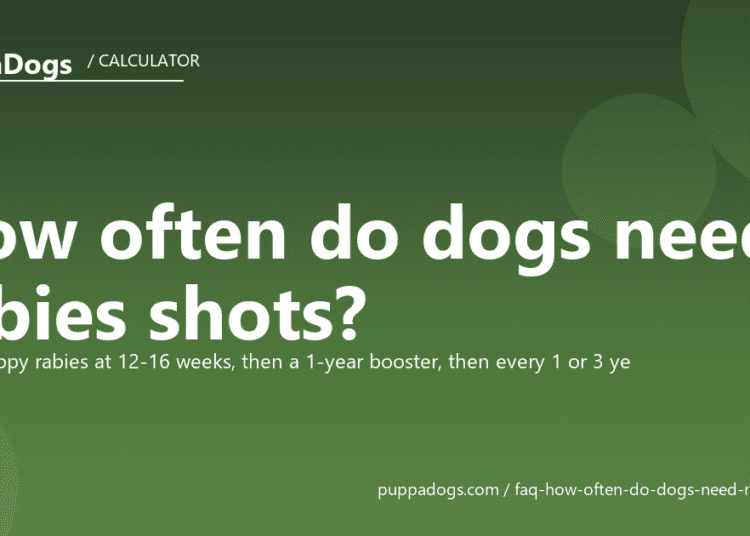 How often do dogs need rabies shots? - PuppaDogs FAQ
