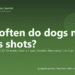 How often do dogs need rabies shots? - PuppaDogs FAQ