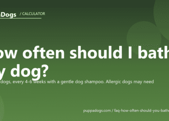 How often should I bathe my dog? - PuppaDogs FAQ