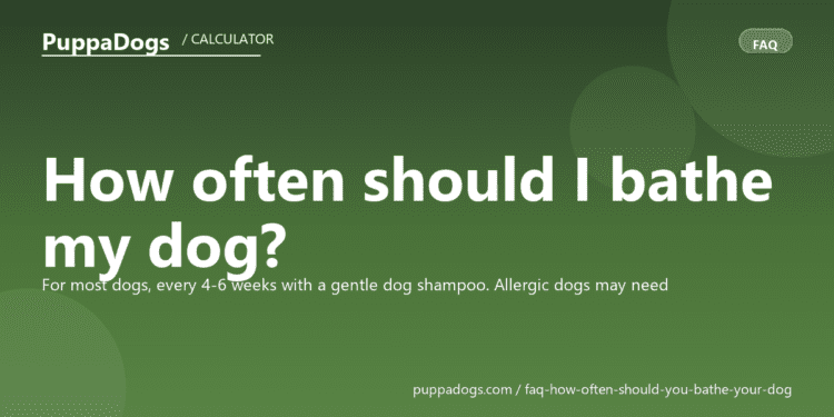 How often should I bathe my dog? - PuppaDogs FAQ