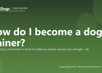 How do I become a dog trainer? - PuppaDogs FAQ