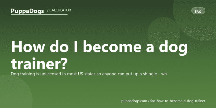 How do I become a dog trainer? - PuppaDogs FAQ