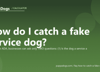 How do I catch a fake service dog? - PuppaDogs FAQ