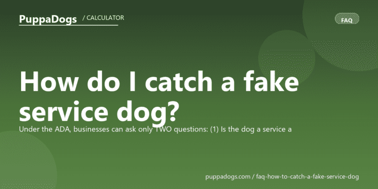 How do I catch a fake service dog? - PuppaDogs FAQ