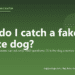 How do I catch a fake service dog? - PuppaDogs FAQ