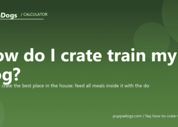 How do I crate train my dog? - PuppaDogs FAQ