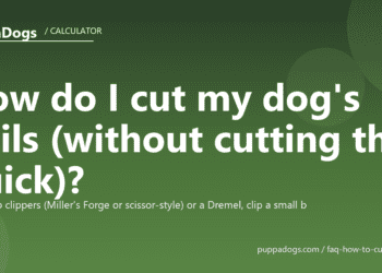 How do I cut my dog's nails (without cutting the quick)? - PuppaDogs FAQ