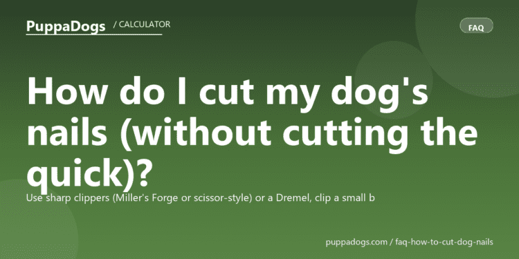 How do I cut my dog's nails (without cutting the quick)? - PuppaDogs FAQ
