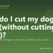 How do I cut my dog's nails (without cutting the quick)? - PuppaDogs FAQ