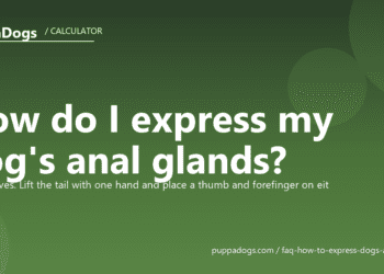 How do I express my dog's anal glands? - PuppaDogs FAQ