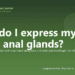 How do I express my dog's anal glands? - PuppaDogs FAQ