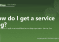 How do I get a service dog? - PuppaDogs FAQ