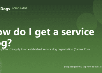 How do I get a service dog? - PuppaDogs FAQ