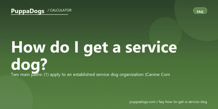 How do I get a service dog? - PuppaDogs FAQ