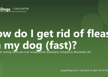 How do I get rid of fleas on my dog (fast)? - PuppaDogs FAQ