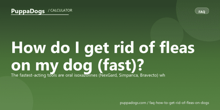 How do I get rid of fleas on my dog (fast)? - PuppaDogs FAQ
