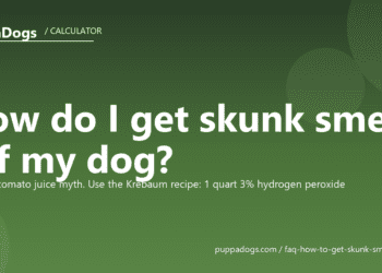 How do I get skunk smell off my dog? - PuppaDogs FAQ