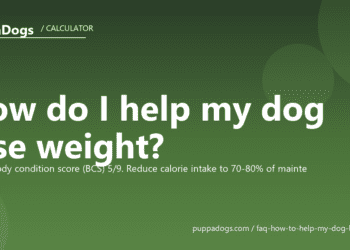 How do I help my dog lose weight? - PuppaDogs FAQ