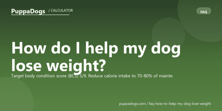 How do I help my dog lose weight? - PuppaDogs FAQ
