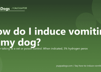 How do I induce vomiting in my dog? - PuppaDogs FAQ