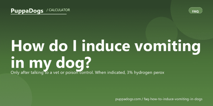 How do I induce vomiting in my dog? - PuppaDogs FAQ