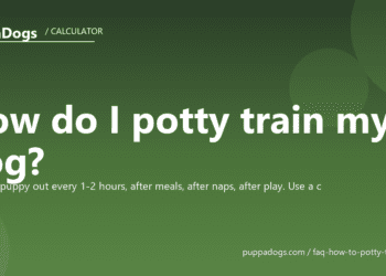 How do I potty train my dog? - PuppaDogs FAQ