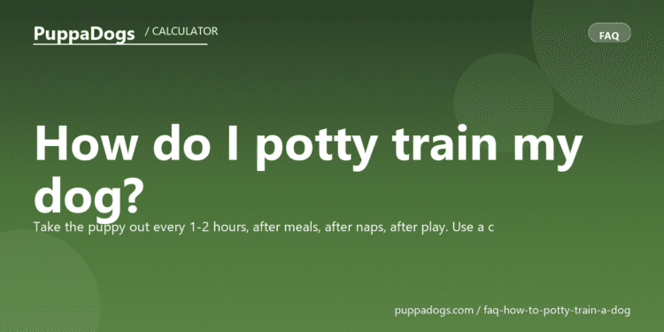 How do I potty train my dog? - PuppaDogs FAQ