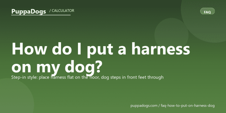 How do I put a harness on my dog? - PuppaDogs FAQ