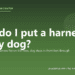 How do I put a harness on my dog? - PuppaDogs FAQ
