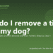 How do I remove a tick from my dog? - PuppaDogs FAQ