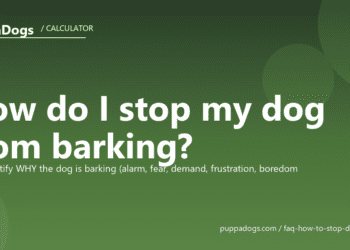 How do I stop my dog from barking? - PuppaDogs FAQ