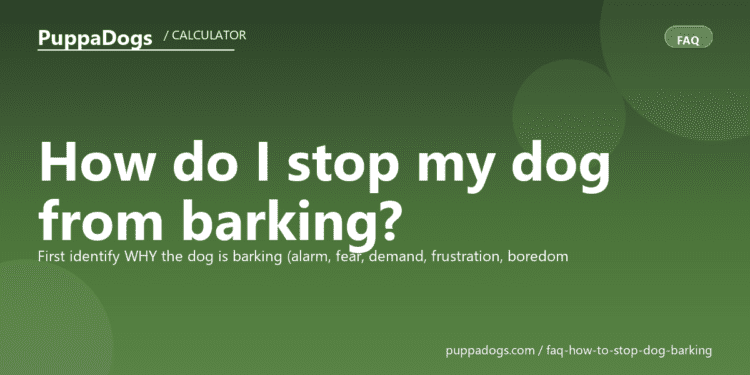 How do I stop my dog from barking? - PuppaDogs FAQ