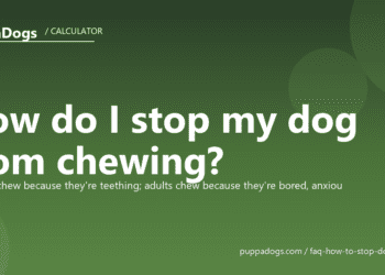 How do I stop my dog from chewing? - PuppaDogs FAQ