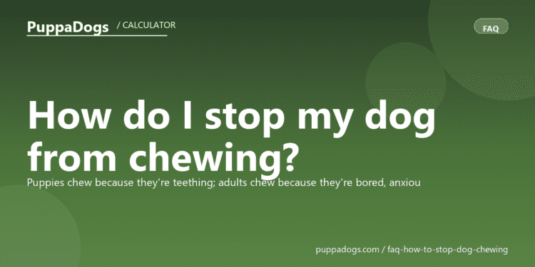 How do I stop my dog from chewing? - PuppaDogs FAQ